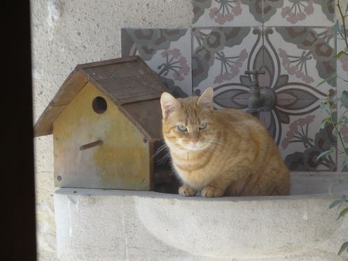 Ginger 2
