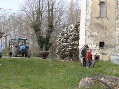 genisses 4