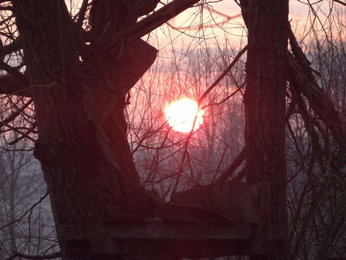 soleil du matin