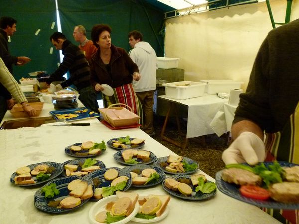 ferme de ramon 1