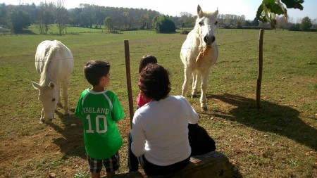 Robyn, Lincoln and Daisy 1