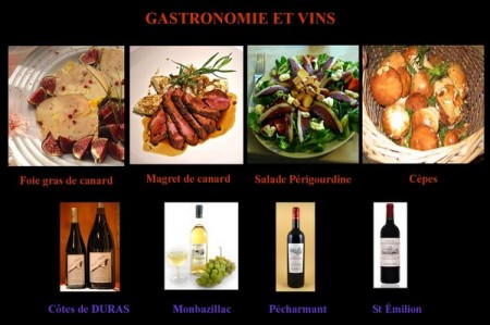 vins