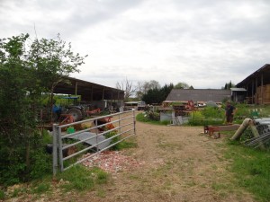 Depuis la prairie, l'espace à dégager pour construire le bâtiment d'élevage