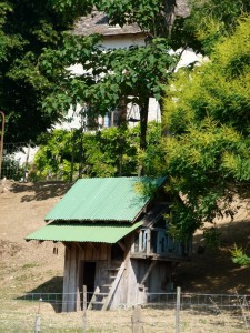 Cabane à moutons