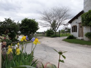 Iris dès l'arrivée