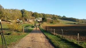 ... pour arriver à Lauzanac, côté ferme.