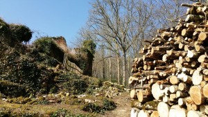a dordogne 17