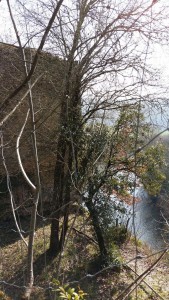 a dordogne 20