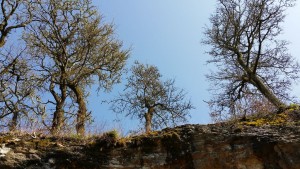 a dordogne 4