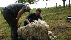 Beaucoup de travail pour Sylvain