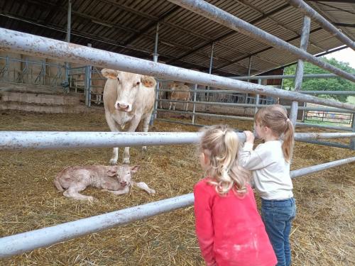 Ferme de Lauzanac Dordogne 3