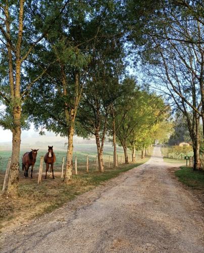 Ferme de Lauzanac Dordogne 8 bis