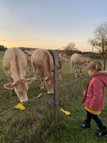 gites ferme de lauzanac dordogne 4