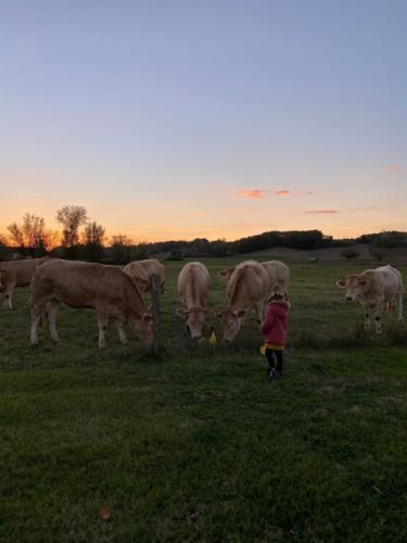 gites ferme de lauzanac dordogne 5