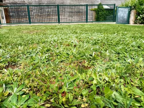 jardin et piscine chenes ferme gites de lauzanac