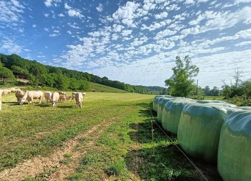 mai ferme de lauzanac 11