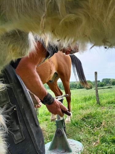 mai ferme de lauzanac 3