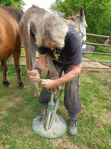 mai ferme de lauzanac 5