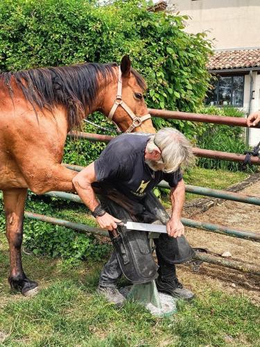 mai ferme de lauzanac 6