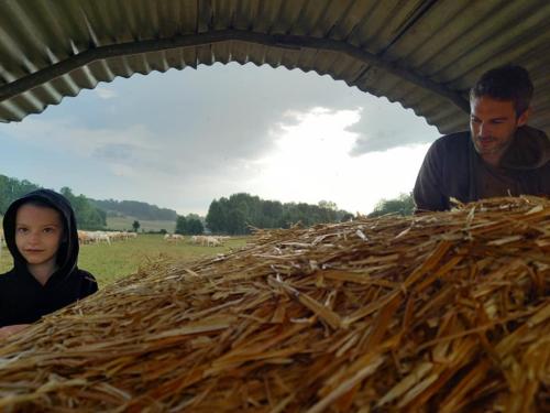 Abri insolite contre l'orage !