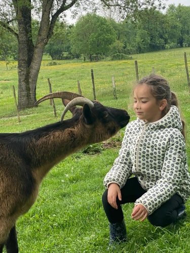 Vacances-Ferme-de-Lauzanac-Eymet-4