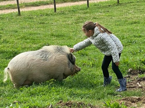 Vacances-Ferme-de-Lauzanac-Eymet-6