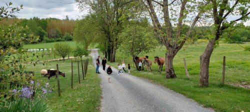 Vacances-Ferme-de-Lauzanac-Eymet-9
