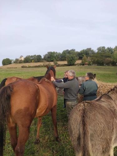 automne-gites-a-la-ferme-de-lauzanac-eymet-10