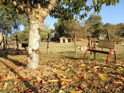 automne-gites-a-la-ferme-de-lauzanac-eymet-15