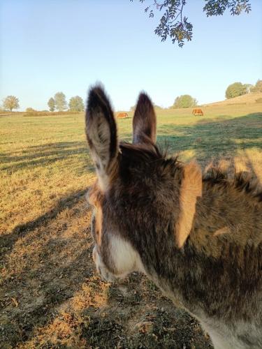 automne-gites-a-la-ferme-de-lauzanac-eymet-16