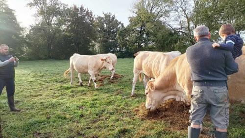 automne-gites-a-la-ferme-de-lauzanac-eymet-7