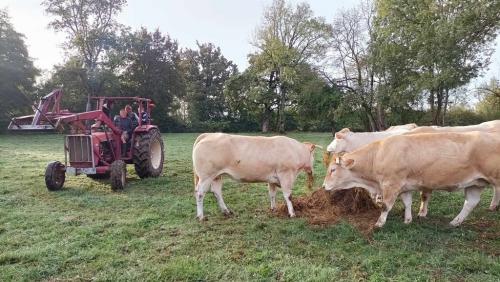 automne-gites-a-la-ferme-de-lauzanac-eymet-9