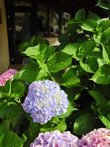 detail-jardin-pigeonnier