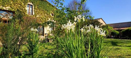 printemps-gites-a-la-ferme-lauzanac-en-dordogne-6