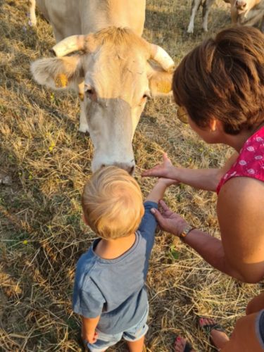 visite-ferme-de-lauzanac-9